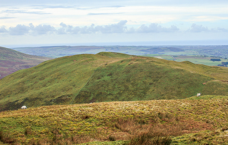 Darling Fell